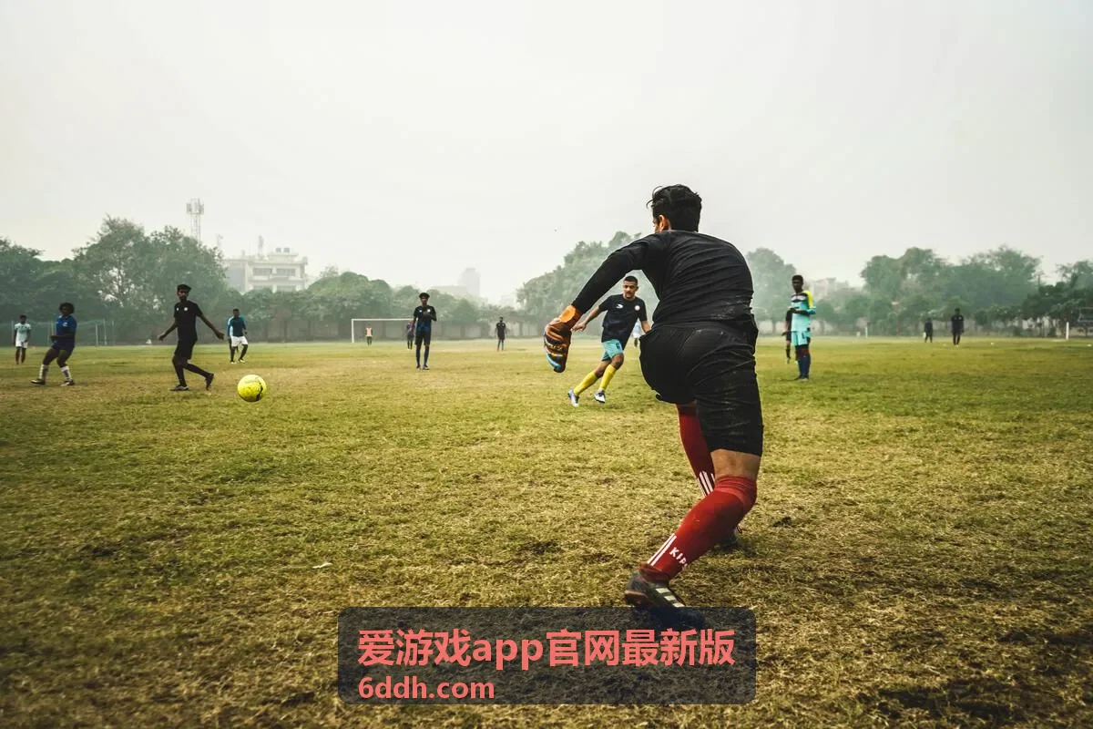 爱游戏app官网最新版安装问题排查配图