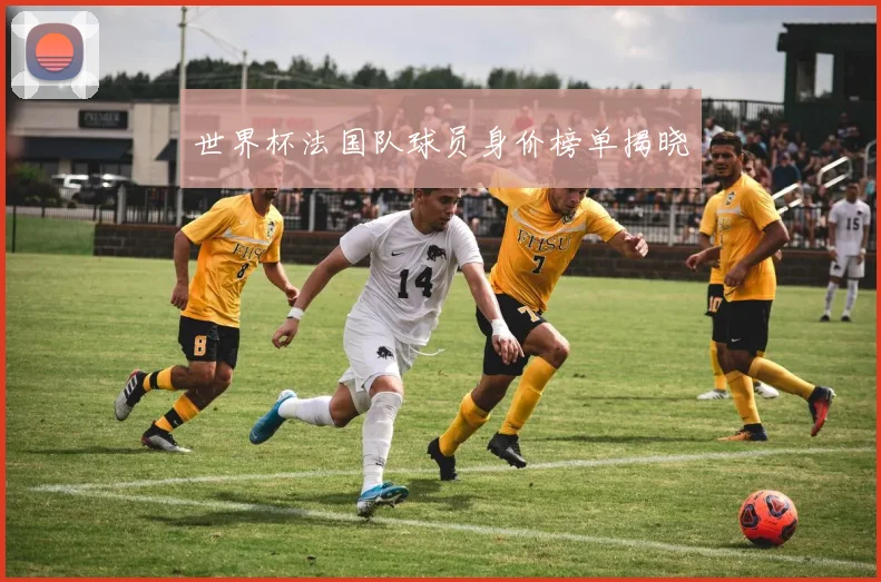 世界杯法国队球员身价榜单揭晓