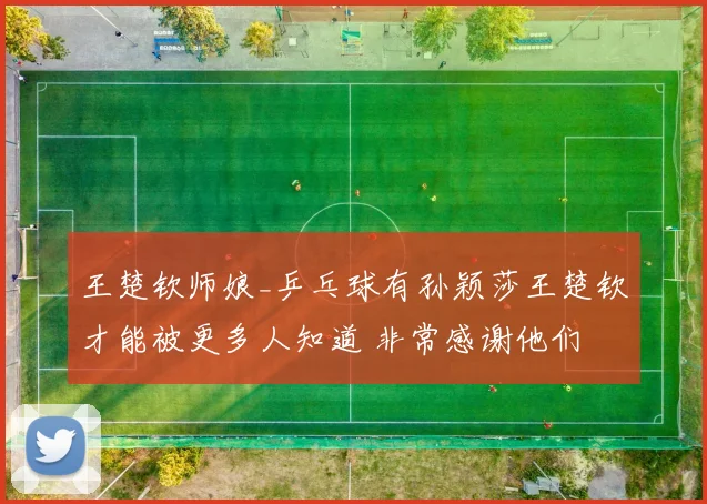 王楚钦师娘_乒乓球有孙颖莎王楚钦才能被更多人知道 非常感谢他们