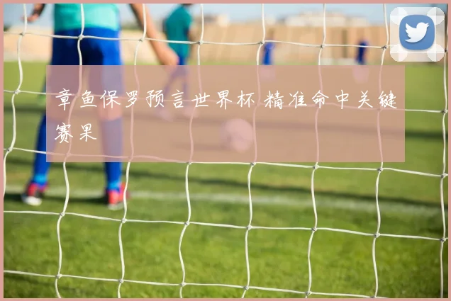 章鱼保罗预言世界杯 精准命中关键赛果