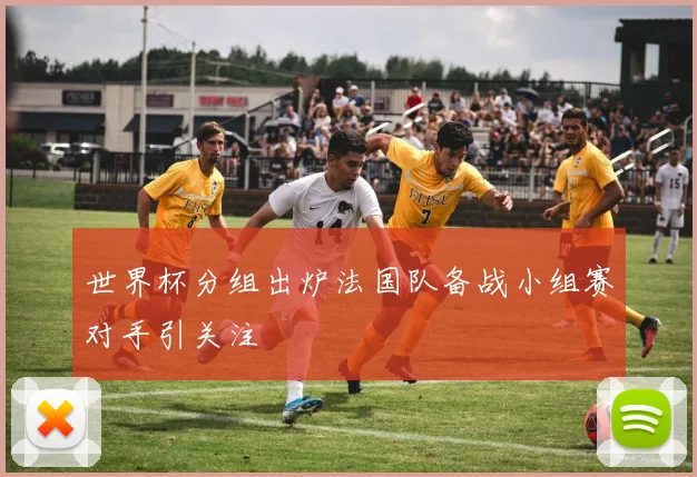 世界杯分组出炉法国队备战小组赛对手引关注