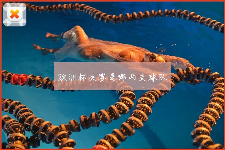 欧洲杯决赛是哪两支球队