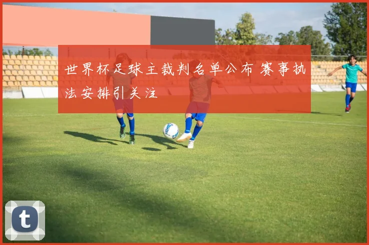 世界杯足球主裁判名单公布 赛事执法安排引关注