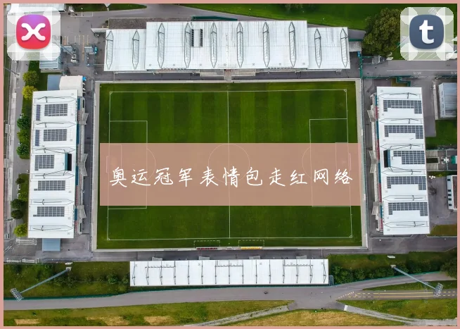 奥运冠军表情包走红网络